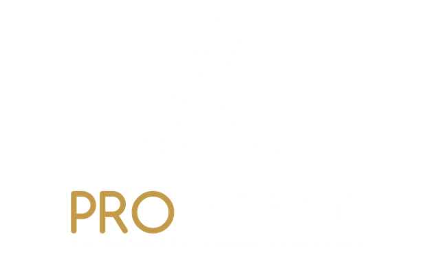 Pro Arbor — Votre forêt. Notre expertise.